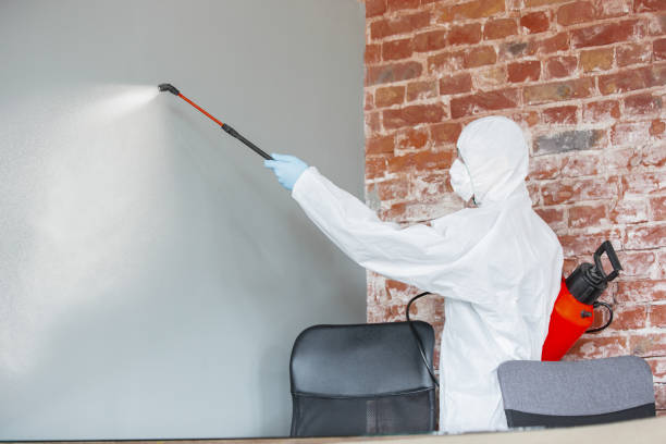 Mold Remediation for Vacation Homes in Imperial, PA